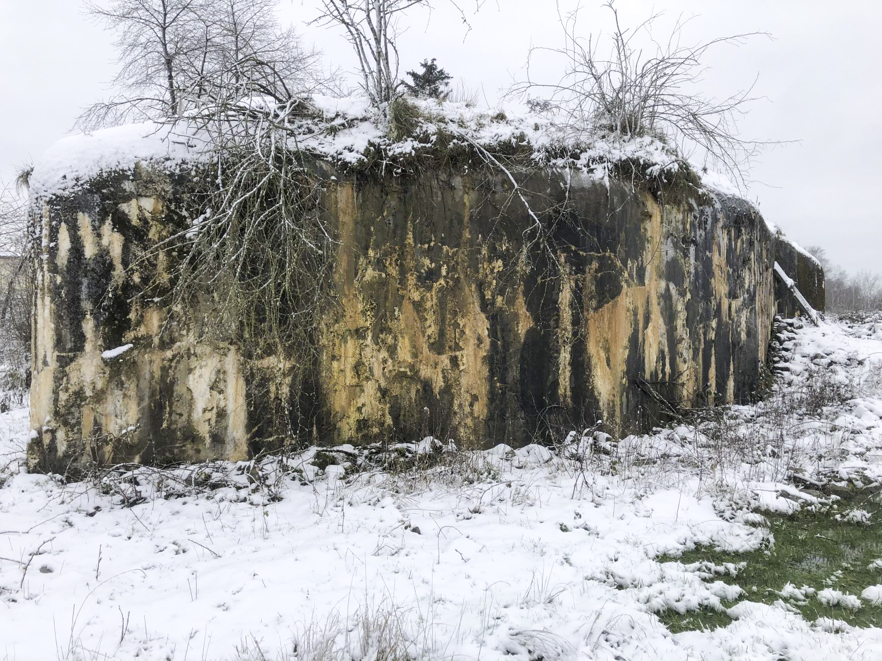 Ligne Maginot - B574 - BOIS DU FRENE - (Blockhaus pour canon) -  - E. LEMAITTE
