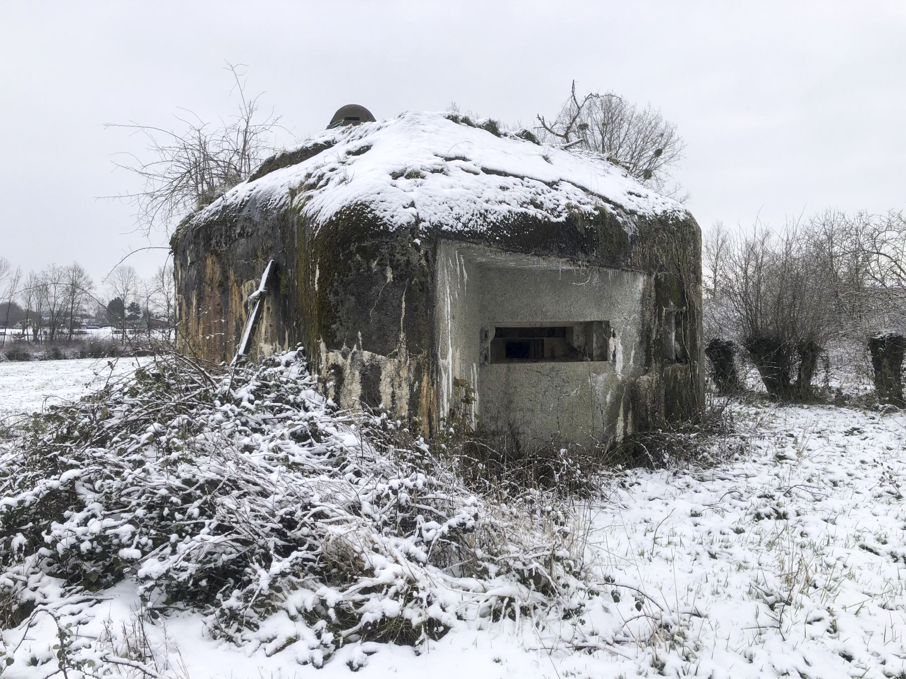 Ligne Maginot - B574 - BOIS DU FRENE - (Blockhaus pour canon) -  - E. LEMAITTE