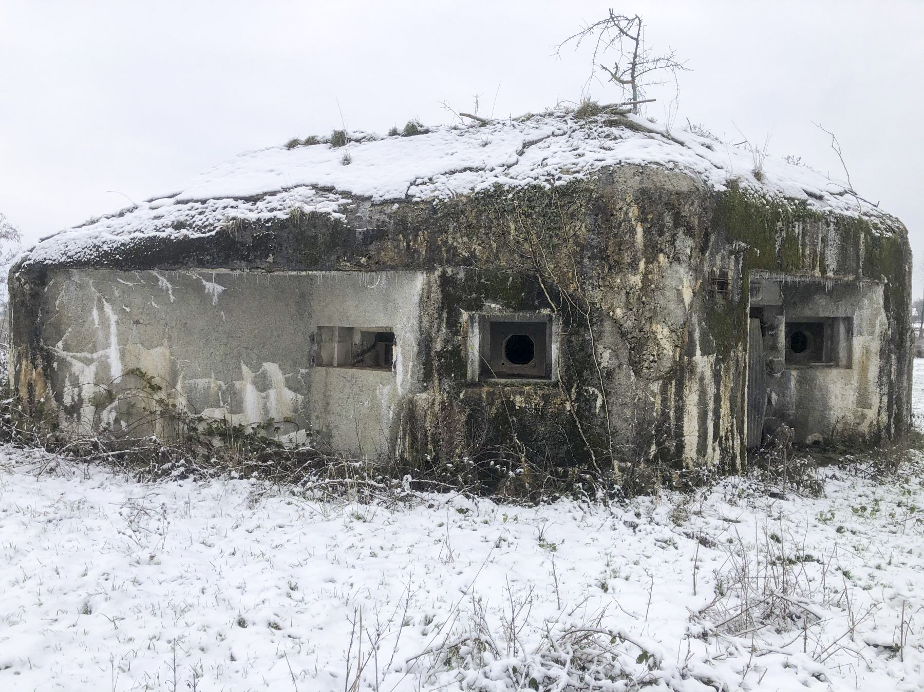 Ligne Maginot - B574 - BOIS DU FRENE - (Blockhaus pour canon) -  - E. LEMAITTE
