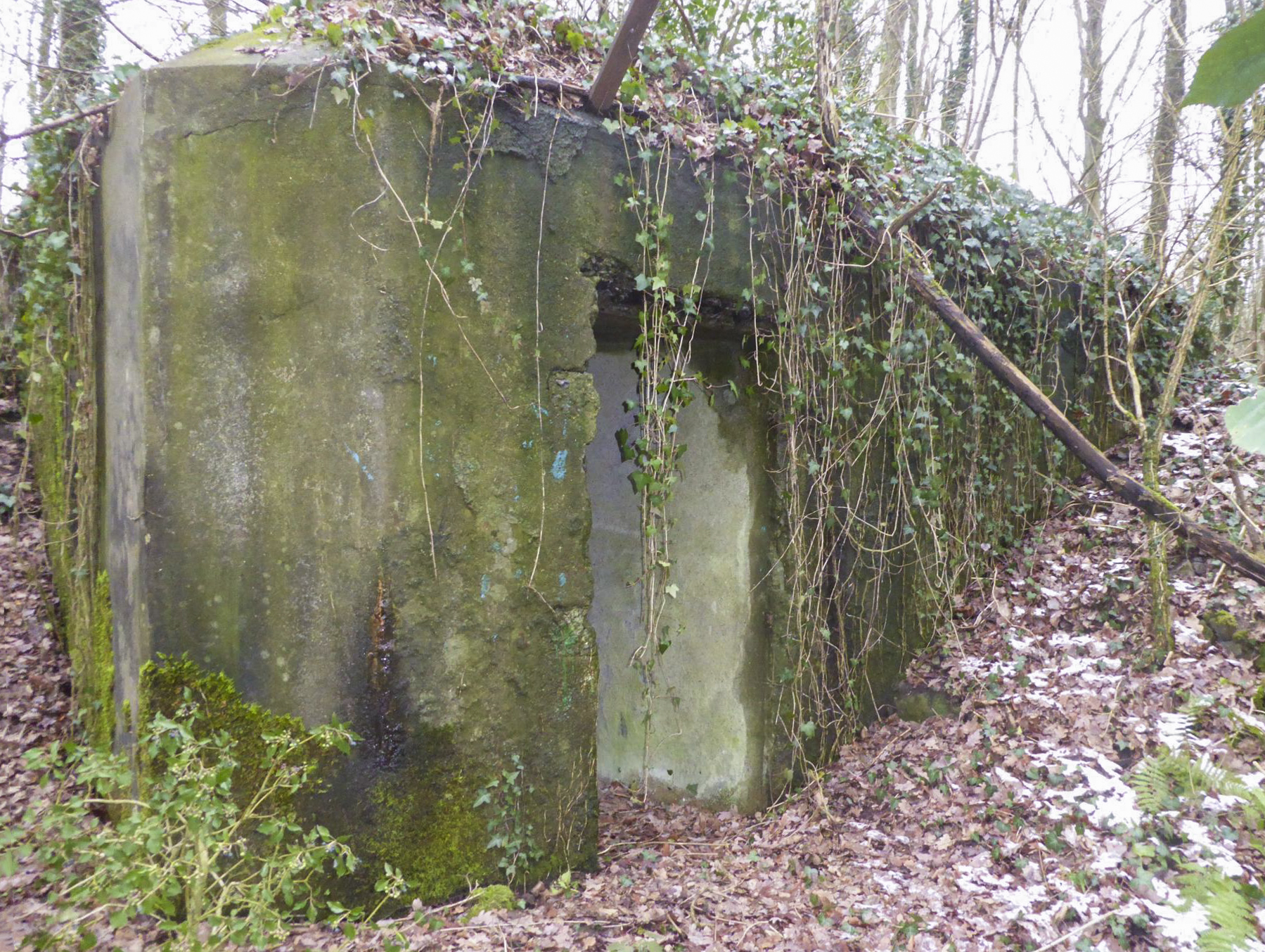 Ligne Maginot - La BRUENNE ( Chambre de coupure - Avec central ) -  - François VILLARS