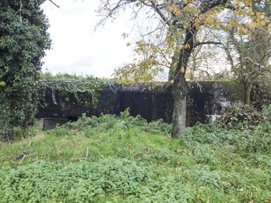 Ligne Maginot - HUNSPACH STATION 1 - (Blockhaus lourd type STG / STG-FCR - Simple) - Vue générale - charli57415