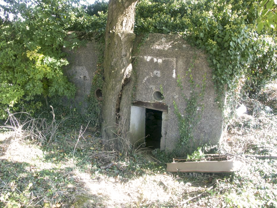 Ligne Maginot - HUNSPACH STATION 2 - (Blockhaus pour canon) -  - LAMBERT Pascal