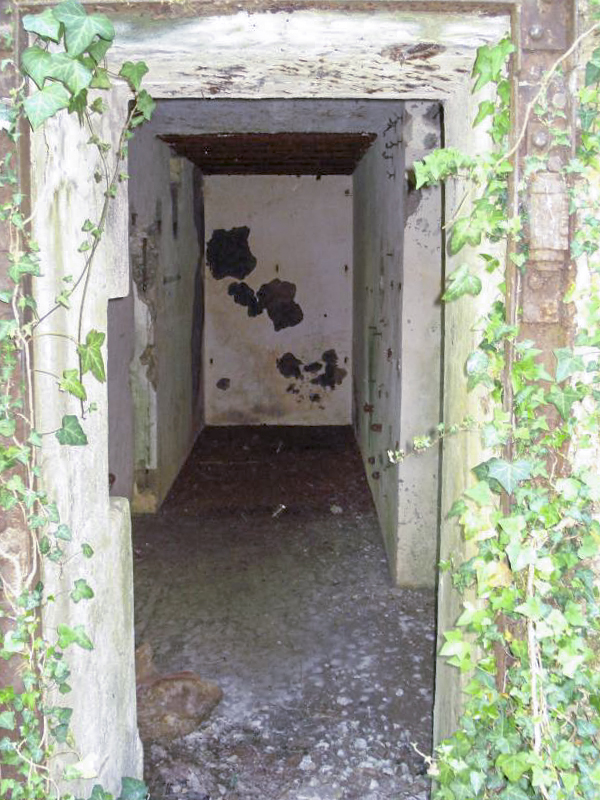 Ligne Maginot - My13 - VILLECLOYE (Casemate d'artillerie) -  - R Tucker