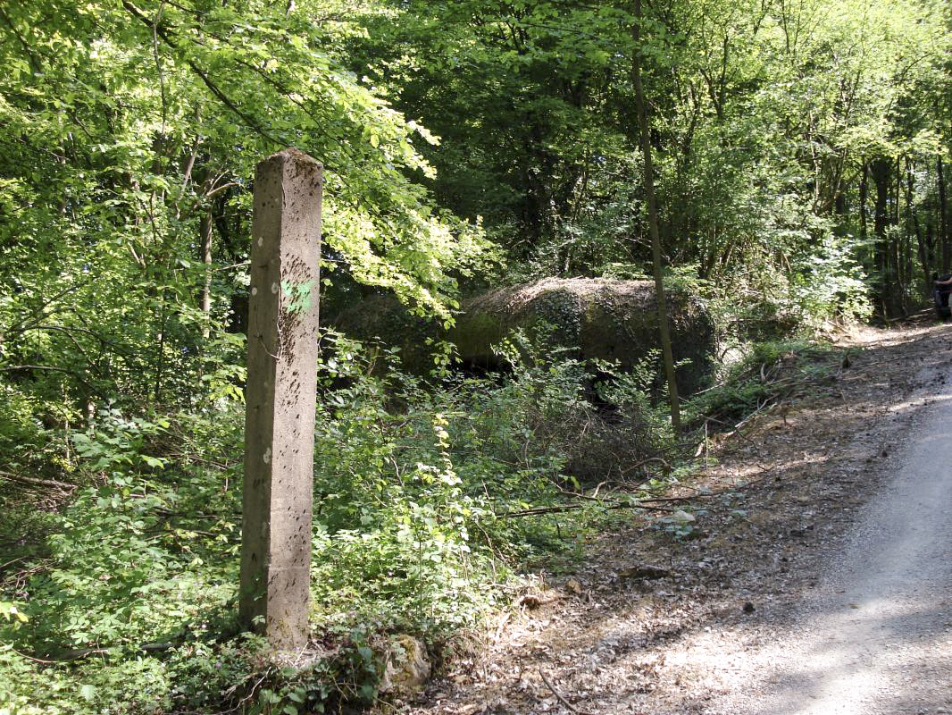 Ligne Maginot - My13 - VILLECLOYE (Casemate d'artillerie) -  - R Tucker