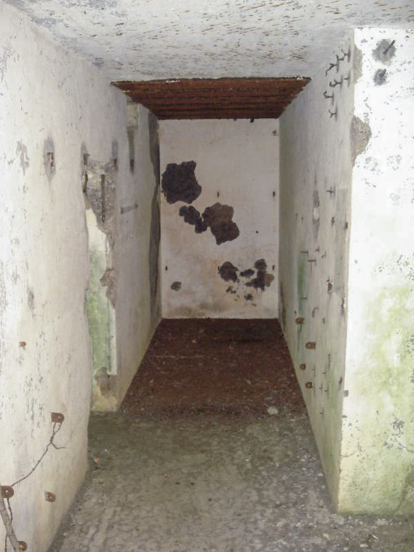 Ligne Maginot - My13 - VILLECLOYE (Casemate d'artillerie) -  - R Tucker