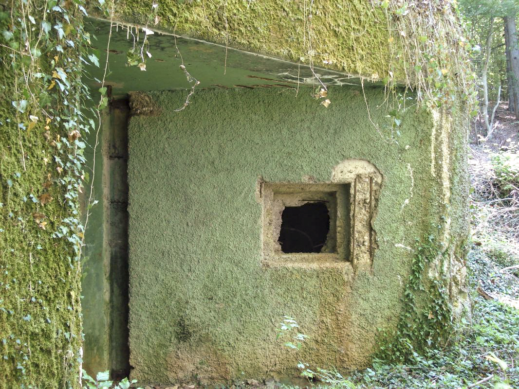 Ligne Maginot - My13 - VILLECLOYE (Casemate d'artillerie) -  - R Tucker