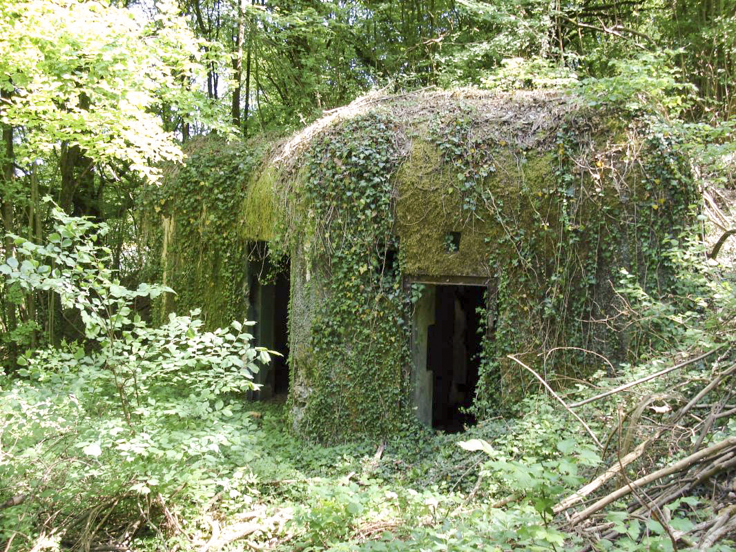 Ligne Maginot - My13 - VILLECLOYE (Casemate d'artillerie) -  - R Tucker
