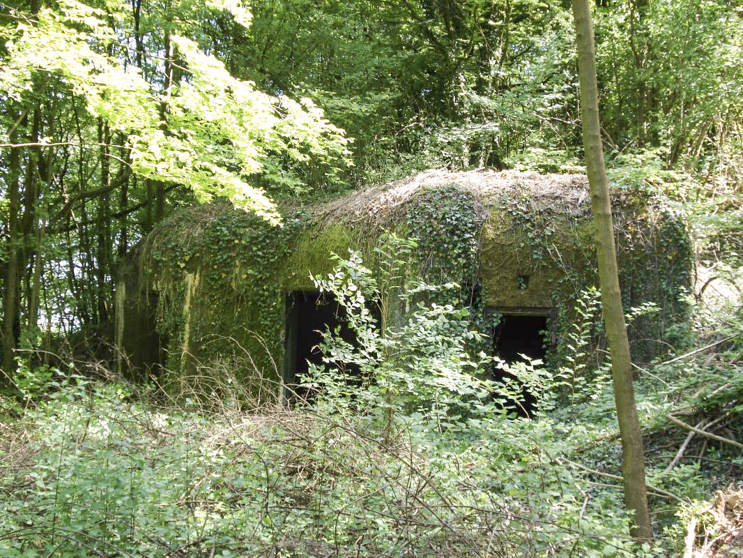 Ligne Maginot - My13 - VILLECLOYE (Casemate d'artillerie) -  - R Tucker