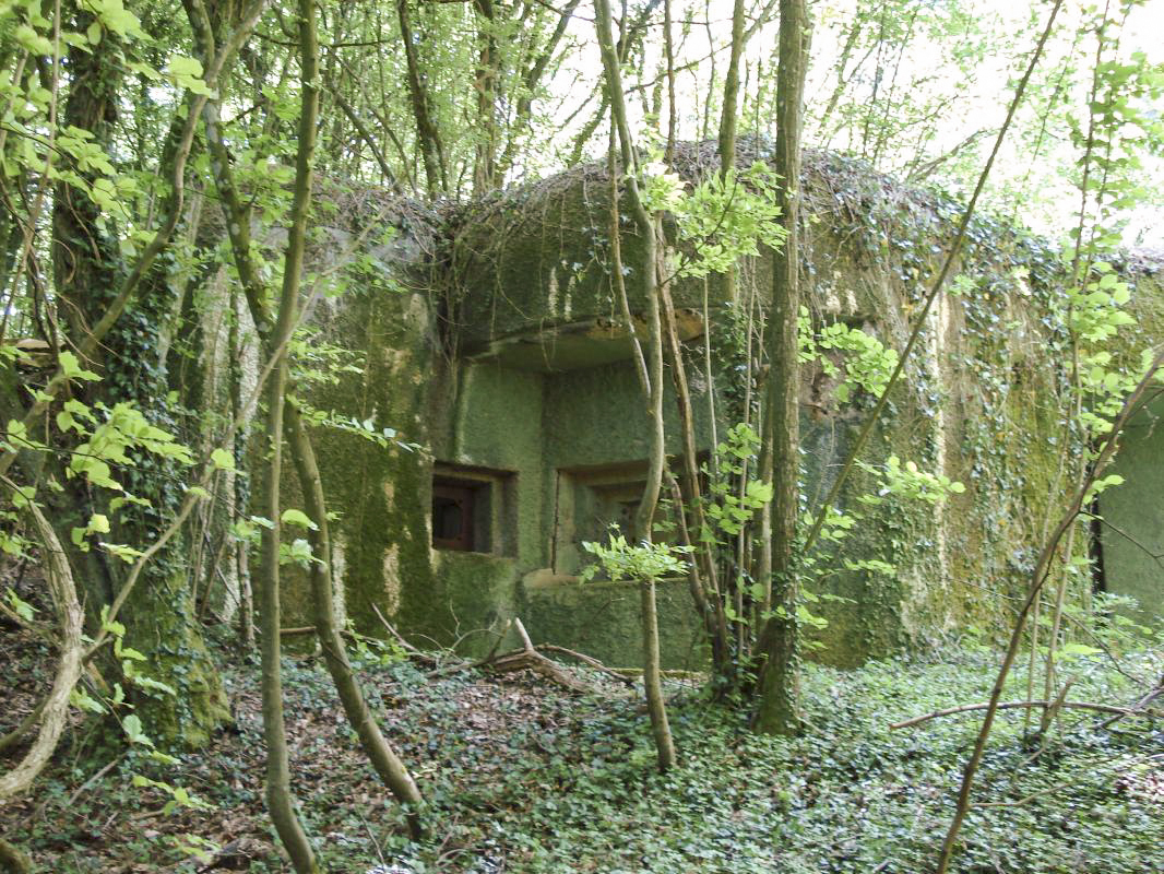 Ligne Maginot - My13 - VILLECLOYE (Casemate d'artillerie) -  - R Tucker