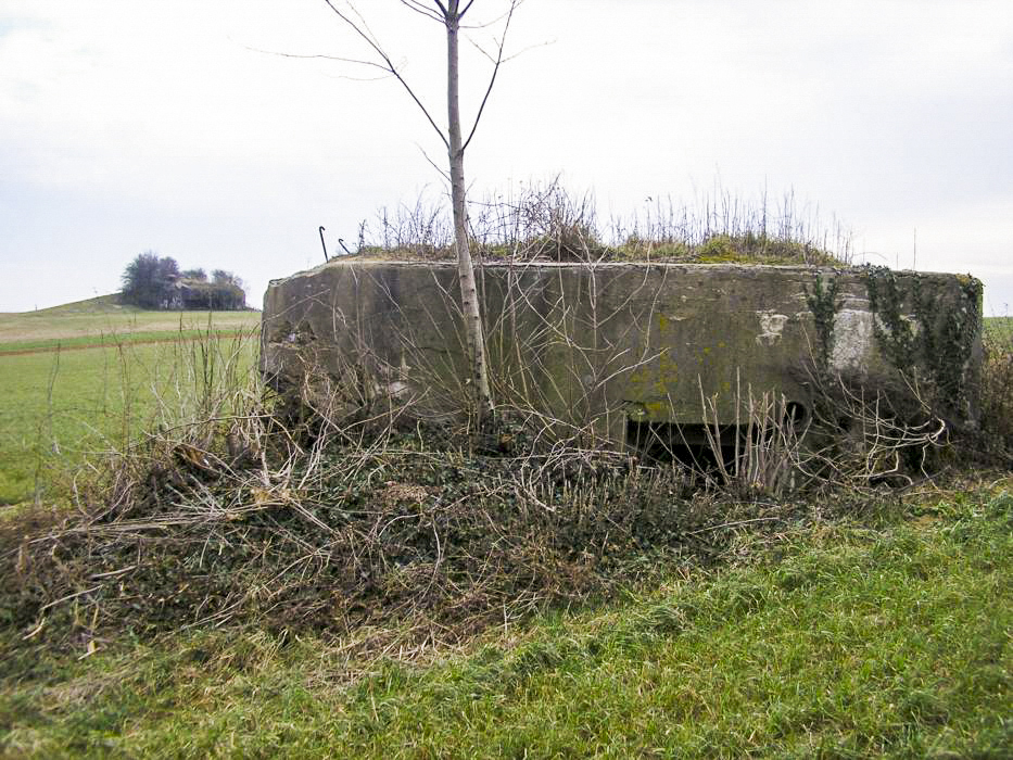 Ligne Maginot - KERNEIS (Blockhaus pour arme infanterie) - Coté entrée avec au fond la casemate d'Oberroedern Nord  - ALMO