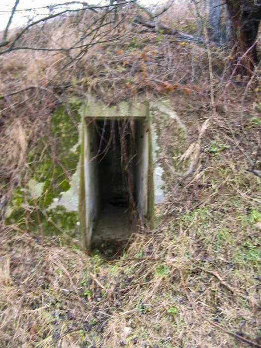 Ligne Maginot - KUHLENDORF (79° RIF - 156°RA) - (PC de Sous-Secteur) - La première entrée - Antoine SCHOEN