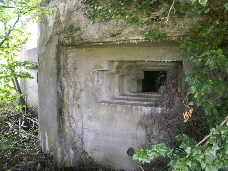 Ligne Maginot - Casemate de la LAURMATT -  - LAMBERT Pascal