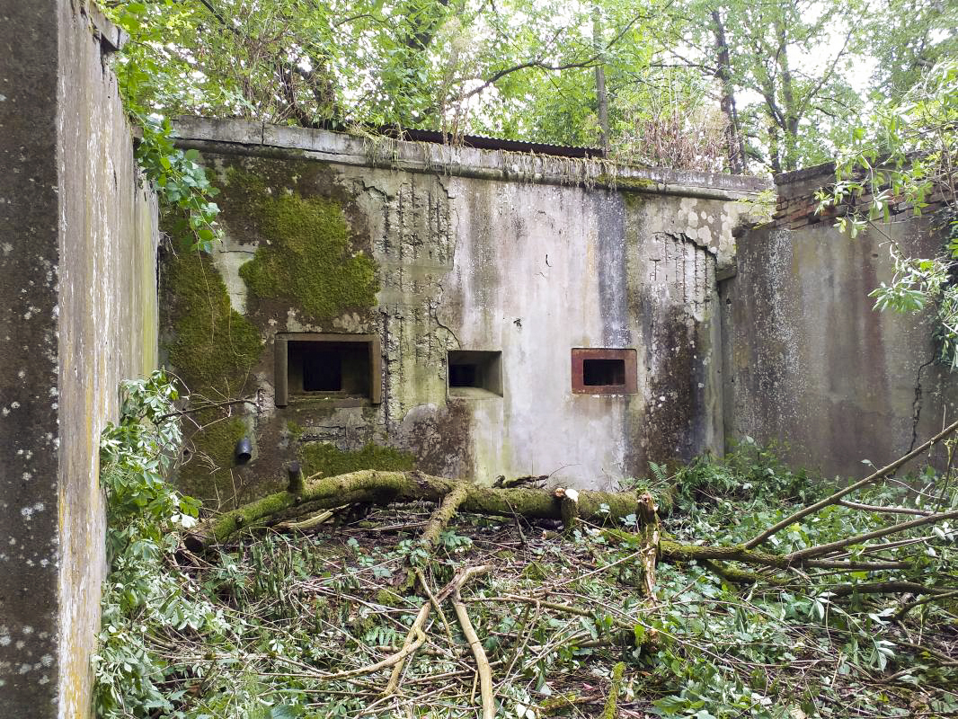 Ligne Maginot - LEITERSWILLER-OBERROEDERN - (Stand de tir) - Créneaux de la chambre de tir pour armement CORF - Gregory Fuchs