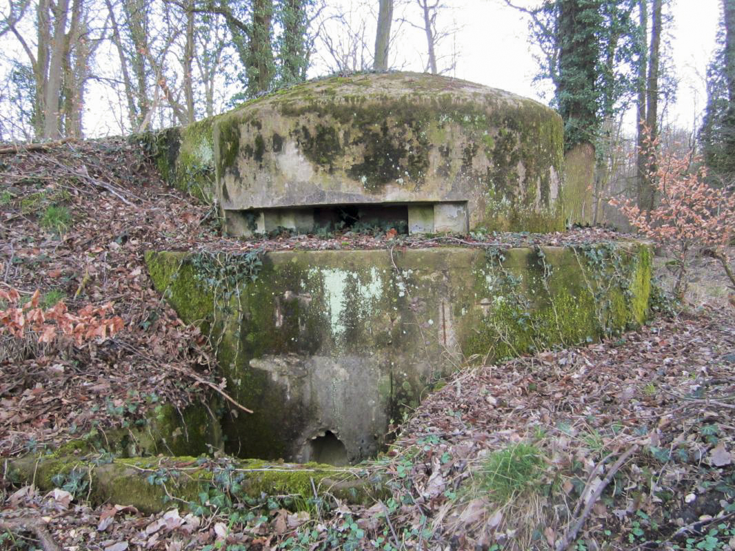 Ligne Maginot - MOULIN DE SCHWABWILLER 1 - (Blockhaus pour arme d'infanterie) -  - gregfuchs