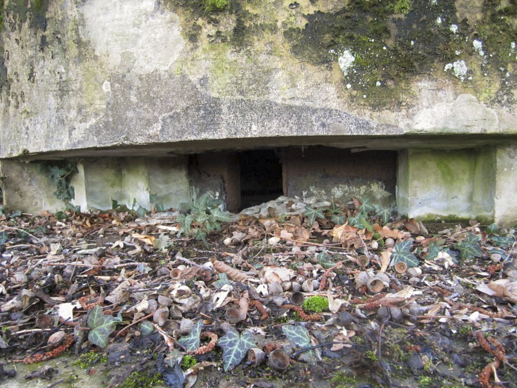 Ligne Maginot - MOULIN DE SCHWABWILLER 1 - (Blockhaus pour arme d'infanterie) -  - gregfuchs