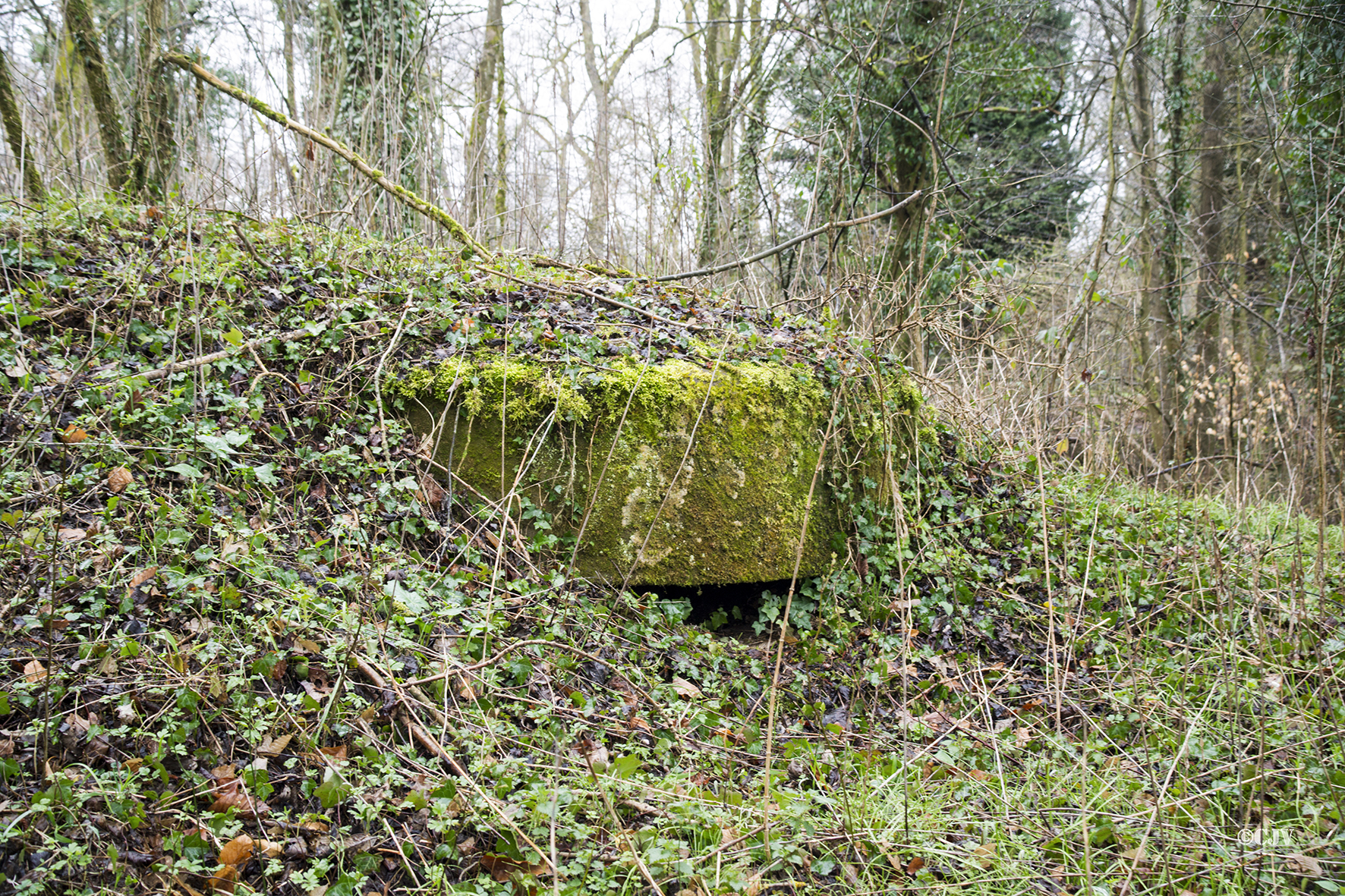 Ligne Maginot - Blockhaus du Moulin de Schwabwiller 2 -  - Lia VERMEULEN