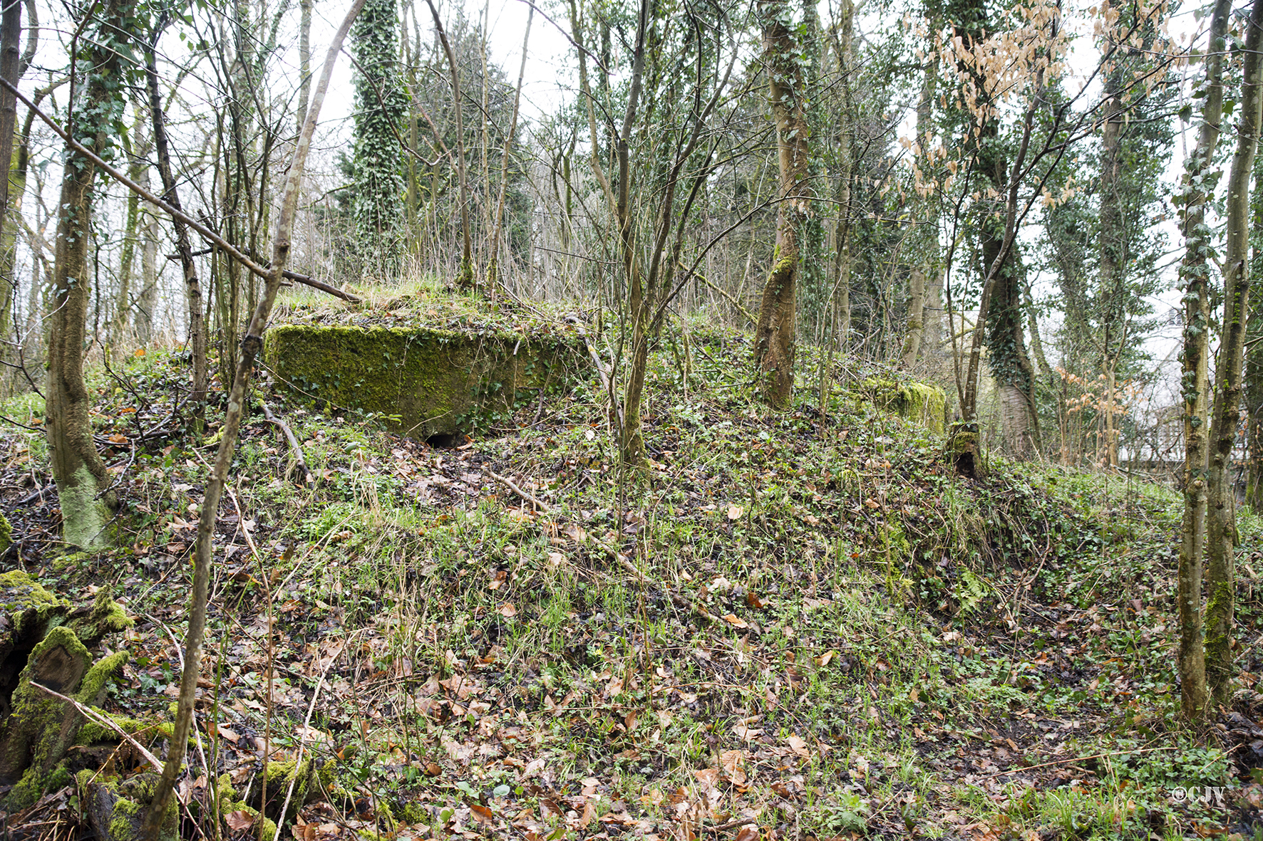 Ligne Maginot - Blockhaus du Moulin de Schwabwiller 2 -  - Lia VERMEULEN
