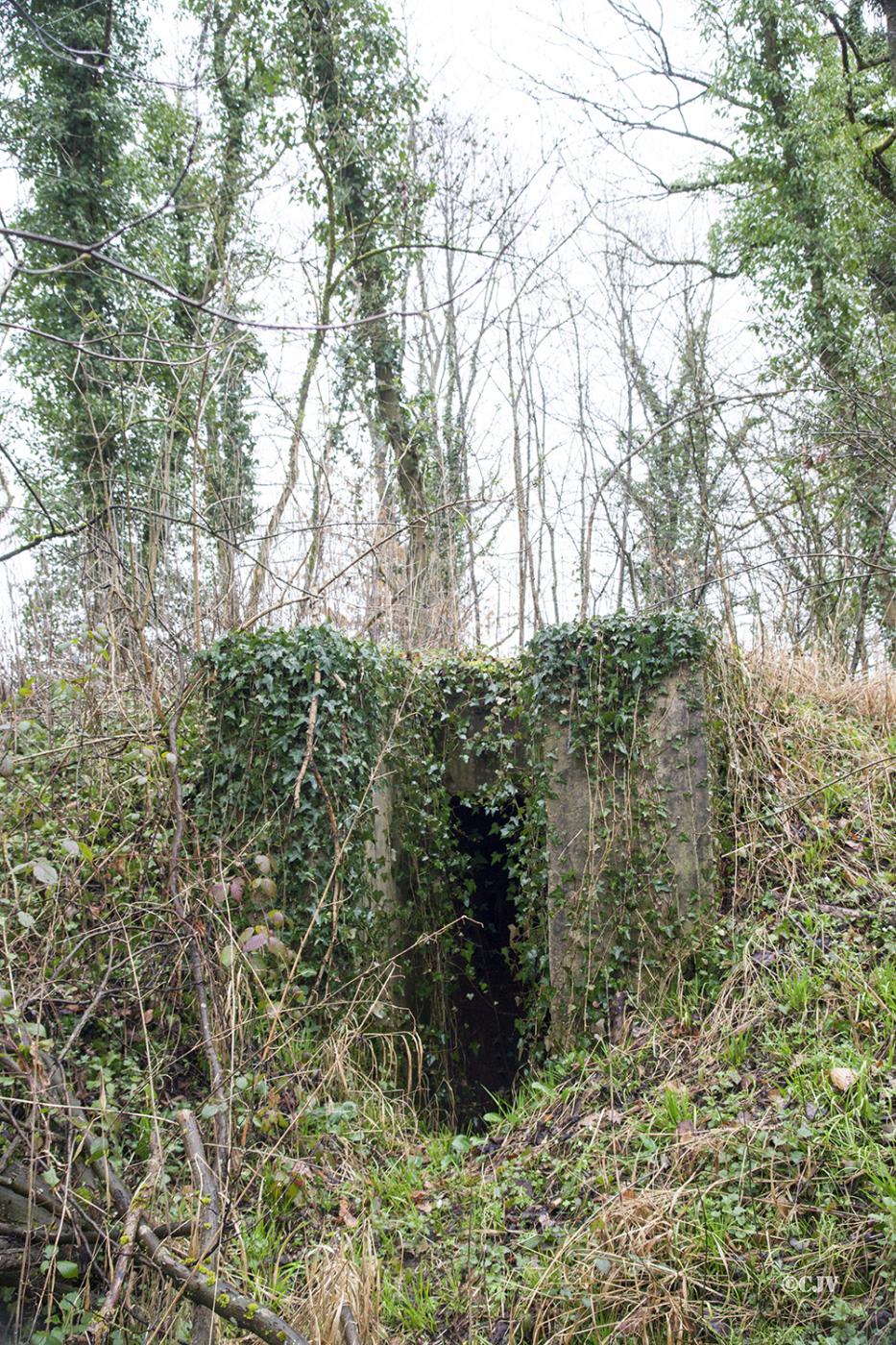 Ligne Maginot - Blockhaus du Moulin de Schwabwiller 2 -  - Lia VERMEULEN