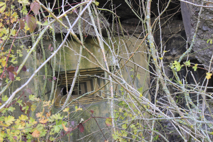 Ligne Maginot - AC3B - MC15  - BIDING NORD - (Casemate d'artillerie) -  - jin jac