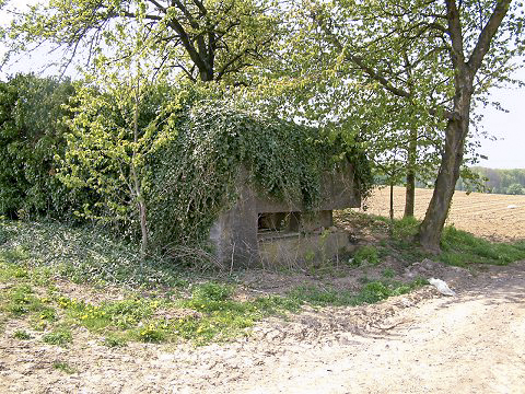 Ligne Maginot - Blockhaus de l'Oberfeld - Vue générale extérieure - AALMA - www.lignemaginot.com