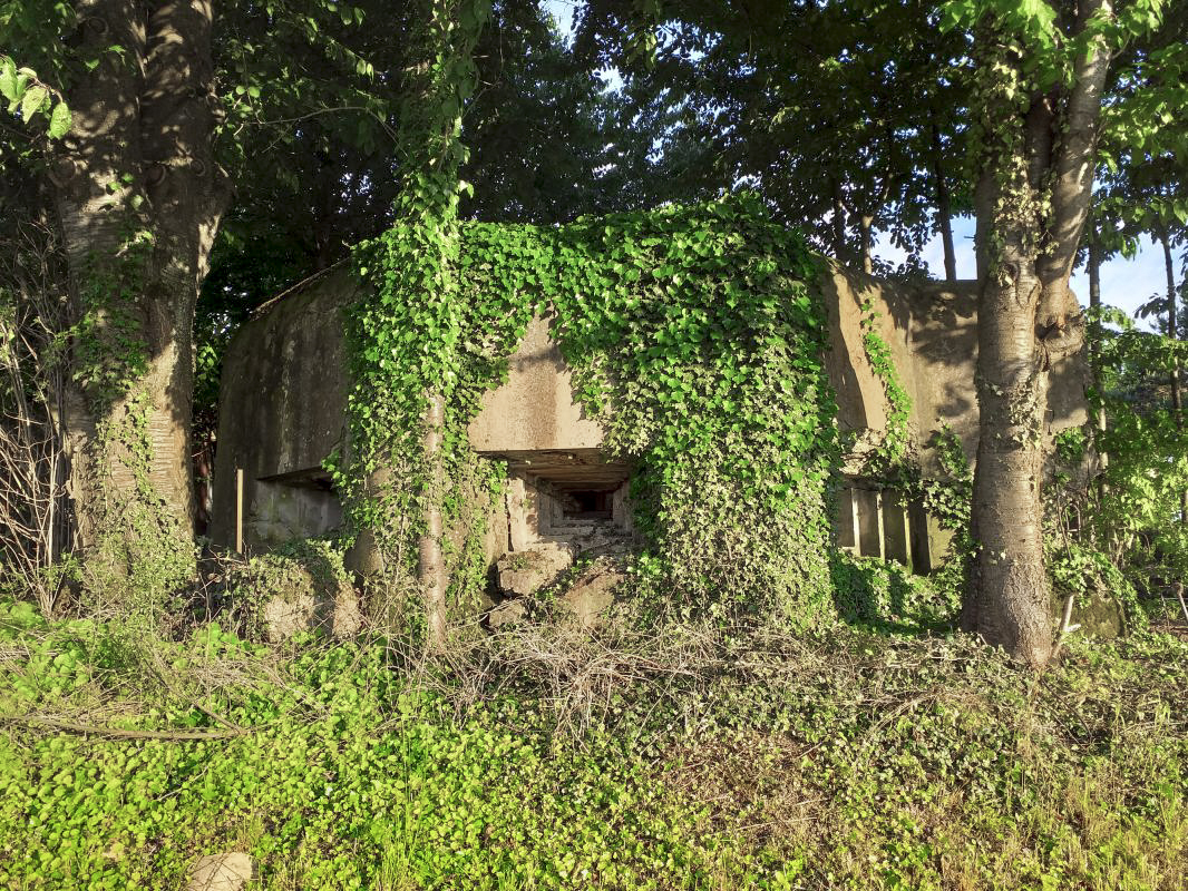 Ligne Maginot - OBERSEEBACH EST - (Blockhaus pour canon) - Créneaux FM - gregfuchs