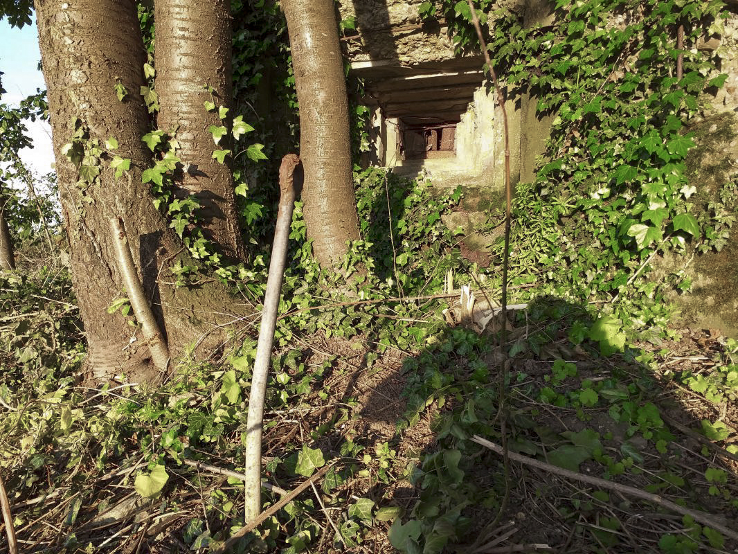 Ligne Maginot - OBERSEEBACH EST - (Blockhaus pour canon) - Fixation pour filet de camouflage - gregfuchs