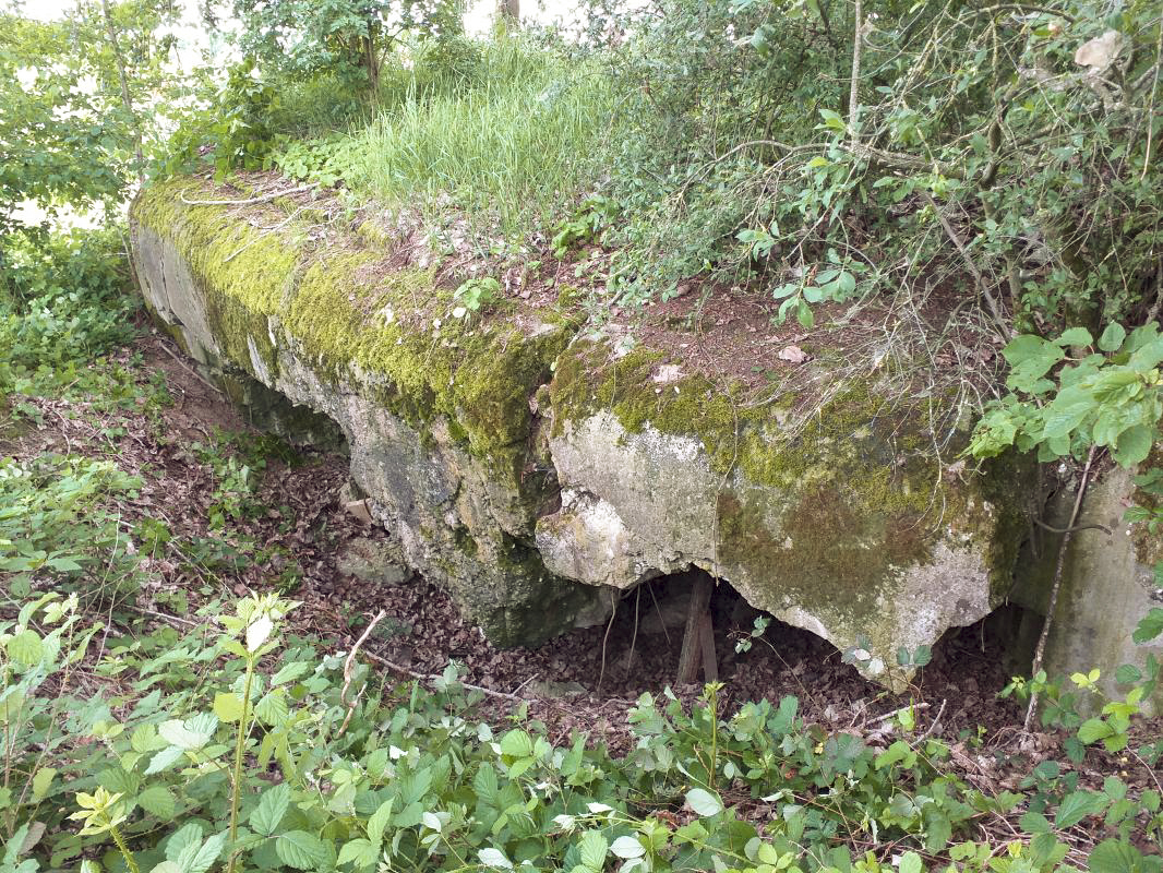 Ligne Maginot - OBERSEEBACH NORD - (Blockhaus pour canon) - Façade chambres de tir mitrailleuse et AC 47 - gregfuchs