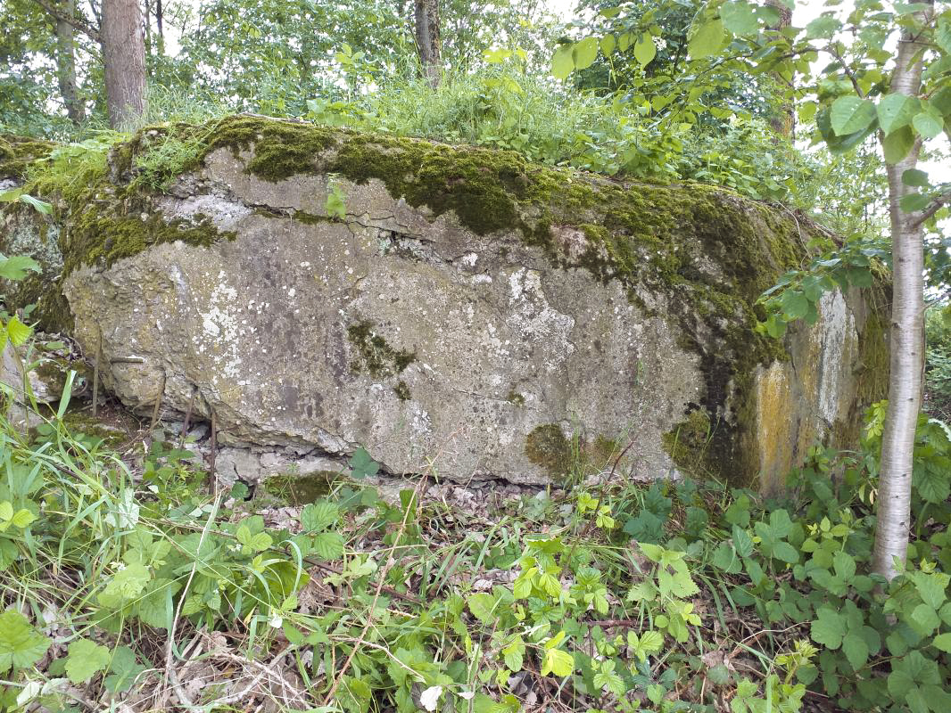 Ligne Maginot - OBERSEEBACH NORD - (Blockhaus pour canon) - Façade chambre de tir des trois FM - gregfuchs