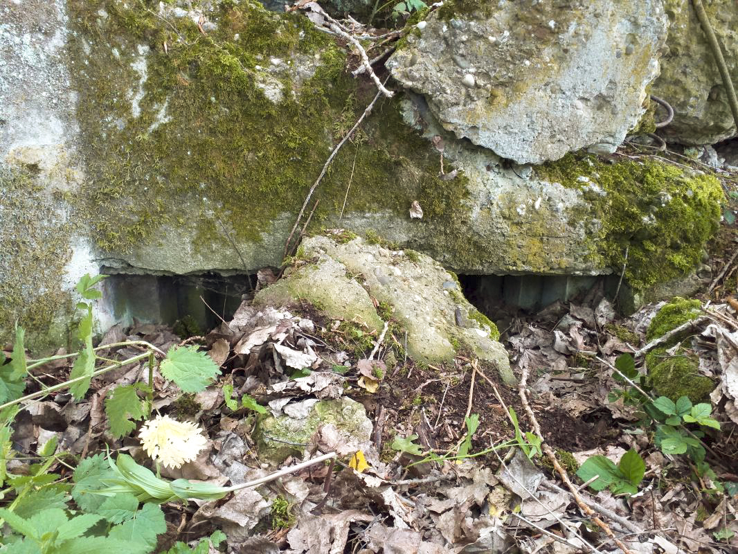 Ligne Maginot - OBERSEEBACH NORD - (Blockhaus pour canon) - Créneau FM - gregfuchs