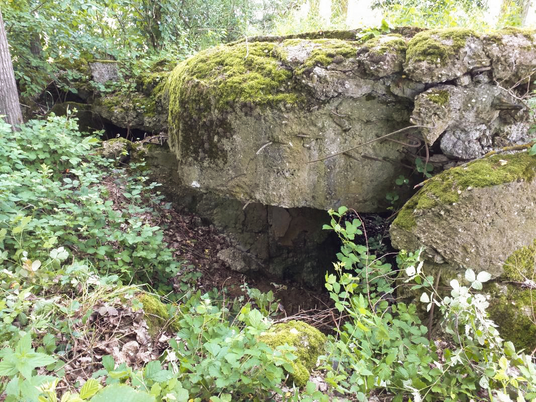 Ligne Maginot - OBERSEEBACH NORD - (Blockhaus pour canon) - Entrée hommes - gregfuchs
