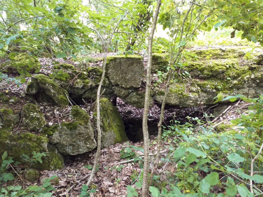 Ligne Maginot - OBERSEEBACH NORD - (Blockhaus pour canon) - Entrée canon - gregfuchs