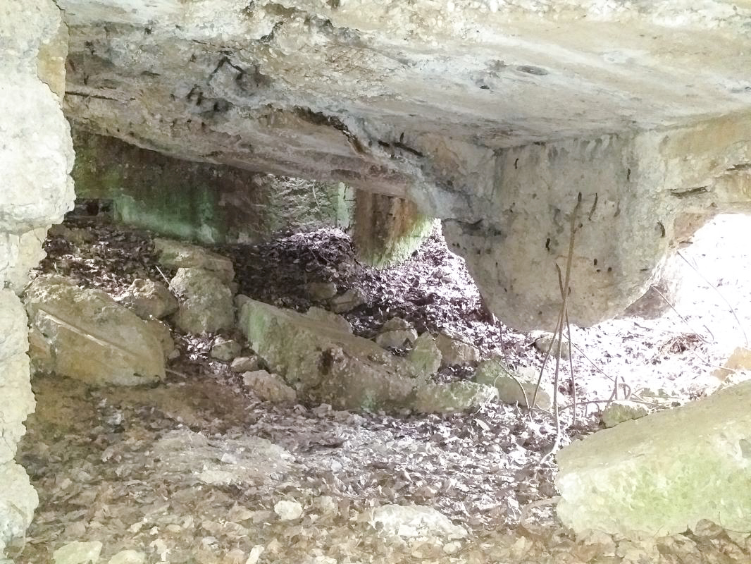 Ligne Maginot - OBERSEEBACH NORD - (Blockhaus pour canon) - L'intérieur dévasté du bloc - gregfuchs