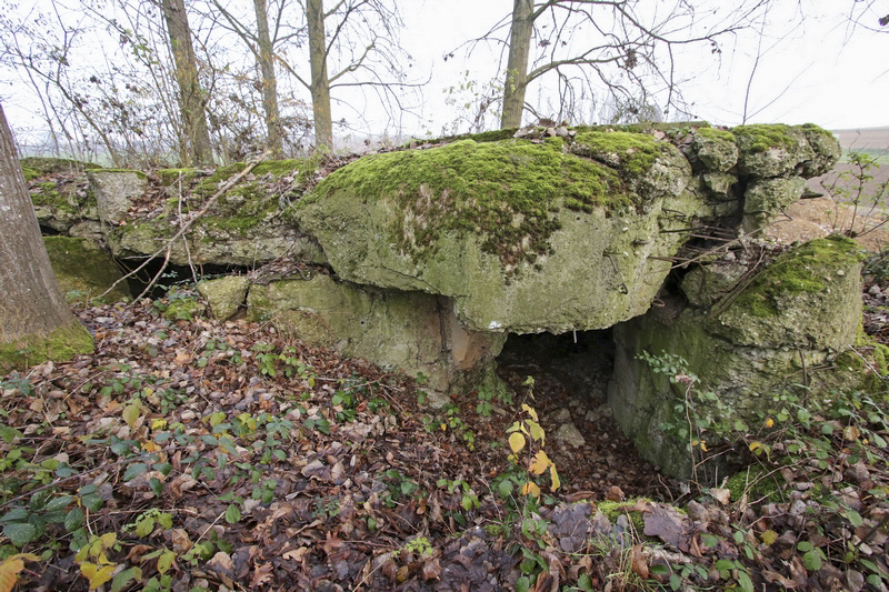 Ligne Maginot - OBERSEEBACH NORD - (Blockhaus pour canon) -  - GRUBER Franck