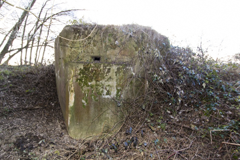 Ligne Maginot - RETENUE DU HAUSAUERBACH - (Blockhaus pour arme infanterie) -  - Antoine SCHOEN