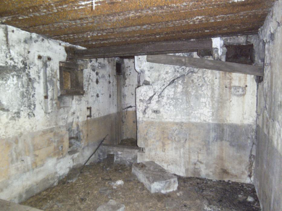 Ligne Maginot - Casemate de la Seltz (ou du Seltzbach) - Chambre de tir sud-est, créneau JM et canon de 37 - GLÜCKSJÄGER GJ13