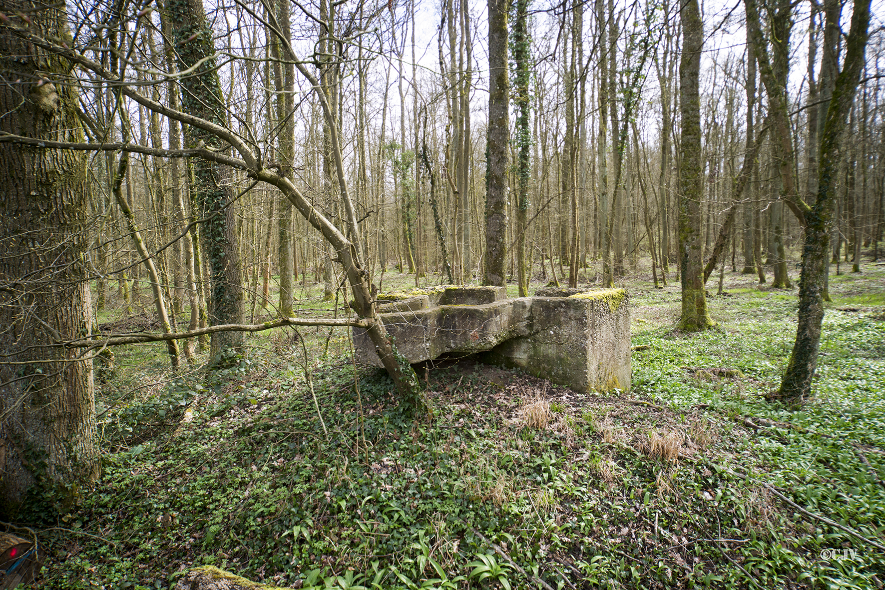 Ligne Maginot - STEINMUEHLE 1 - (Cuve pour arme d'infanterie) -  - Lia VERMEULEN