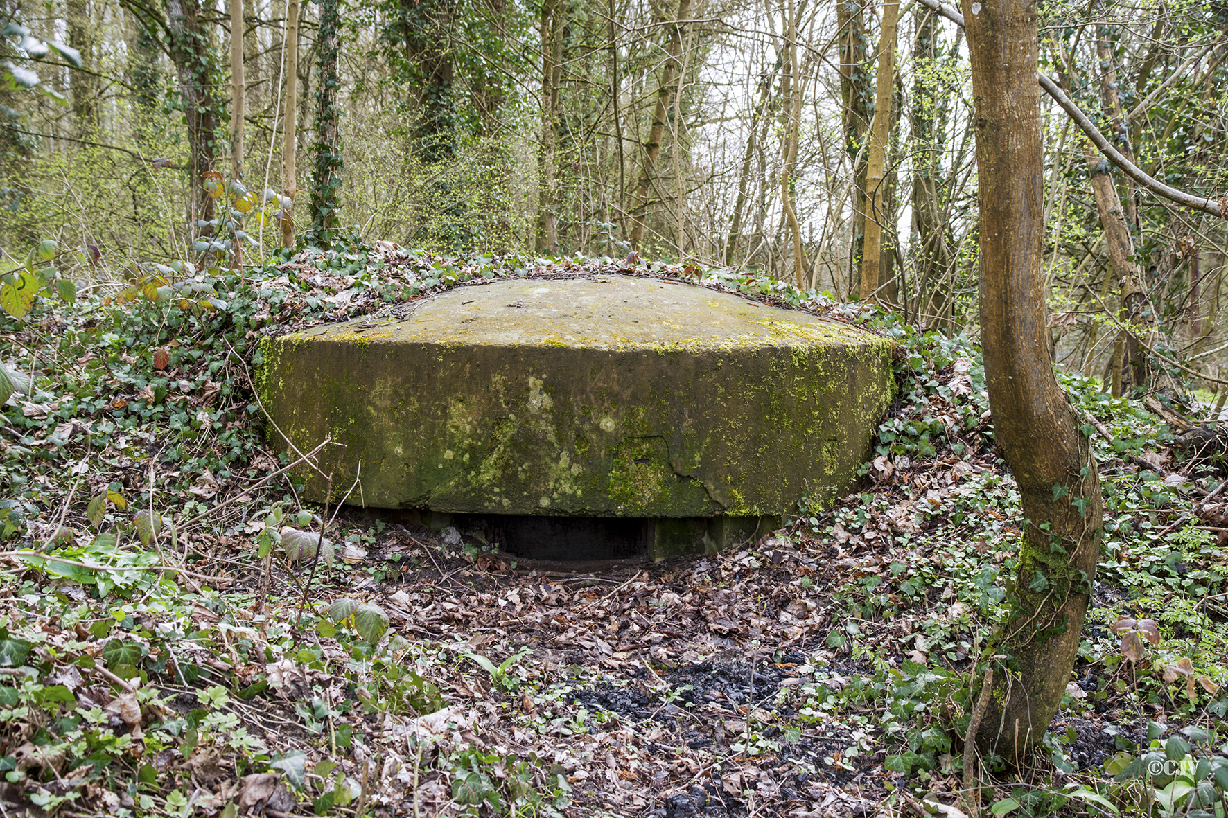 Ligne Maginot - STEINMUEHLE 2 - (Blockhaus pour arme infanterie) -  - Lia VERMEULEN