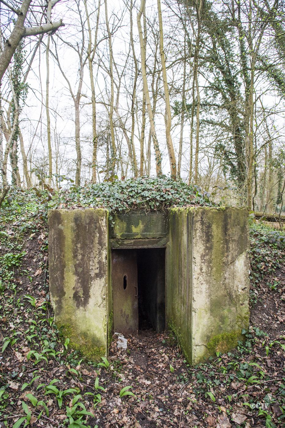 Ligne Maginot - STEINMUEHLE 2 - (Blockhaus pour arme infanterie) -  - Lia VERMEULEN