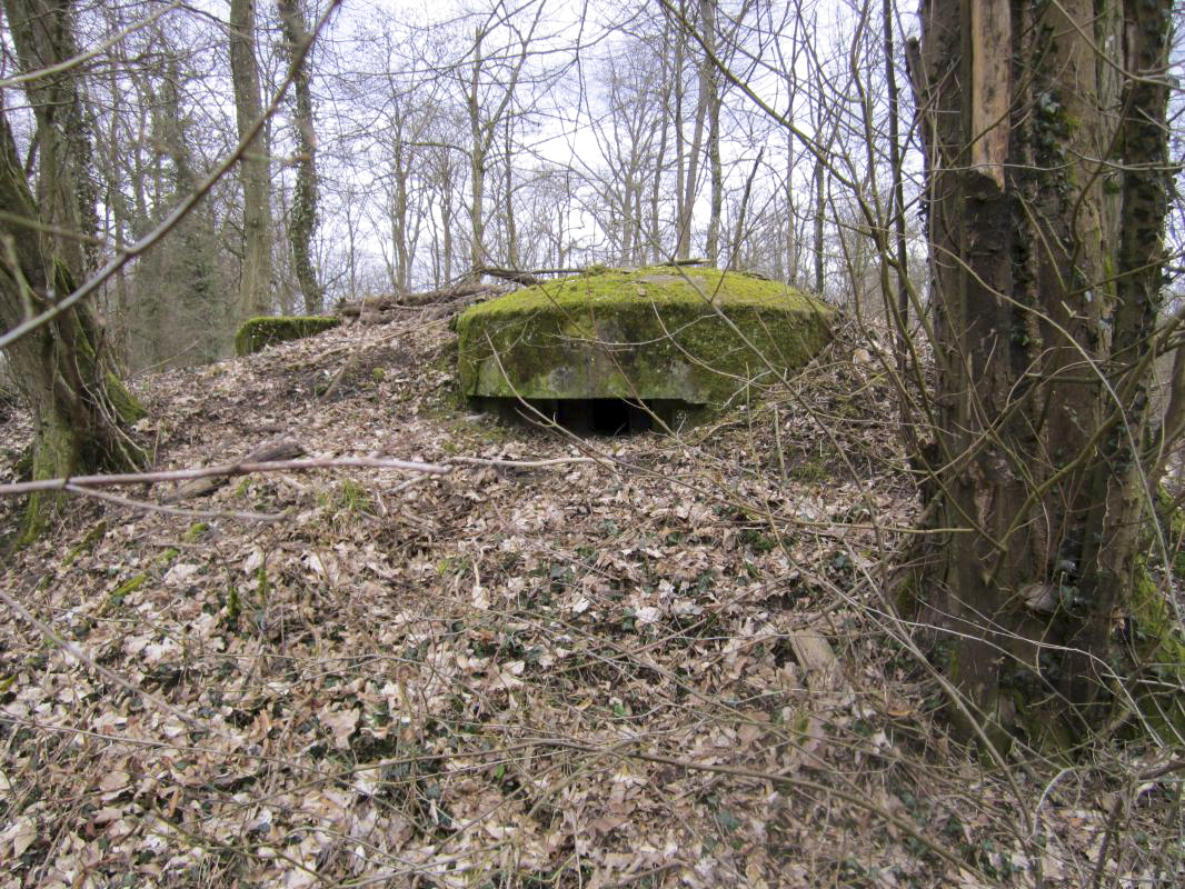 Ligne Maginot - STEINMUEHLE 4 - (Blockhaus pour arme infanterie) -  - gregfuchs