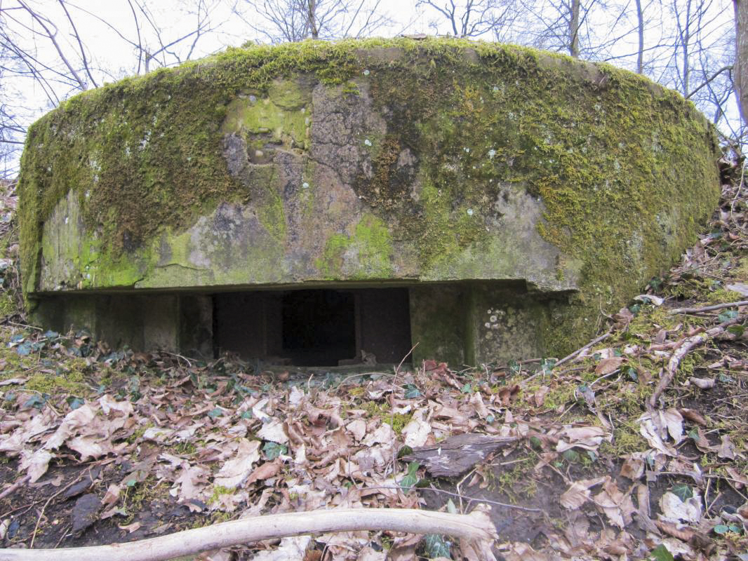 Ligne Maginot - STEINMUEHLE 4 - (Blockhaus pour arme infanterie) -  - gregfuchs