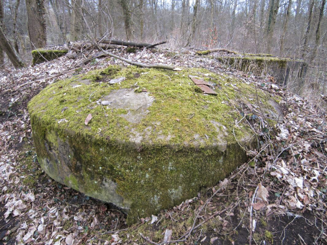 Ligne Maginot - STEINMUEHLE 4 - (Blockhaus pour arme infanterie) -  - gregfuchs