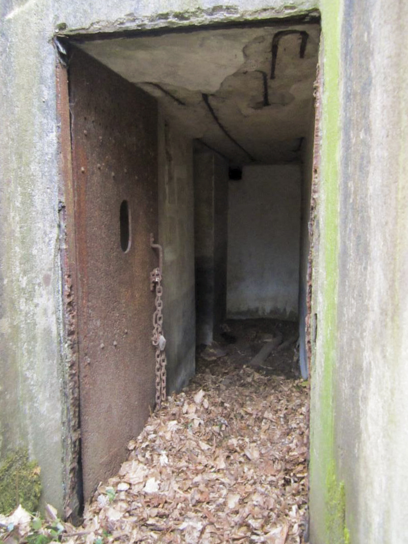 Ligne Maginot - STEINMUEHLE 4 - (Blockhaus pour arme infanterie) -  - gregfuchs