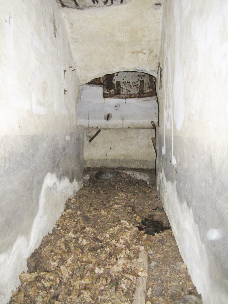 Ligne Maginot - STEINMUEHLE 4 - (Blockhaus pour arme infanterie) -  - gregfuchs