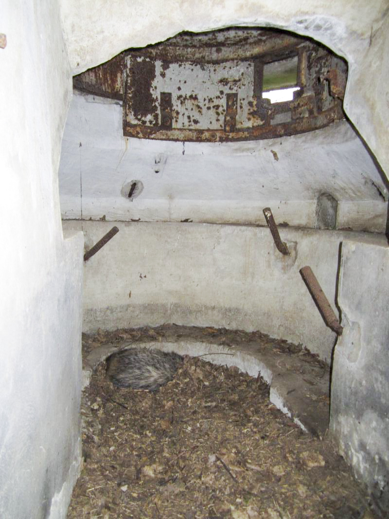 Ligne Maginot - STEINMUEHLE 4 - (Blockhaus pour arme infanterie) -  - gregfuchs