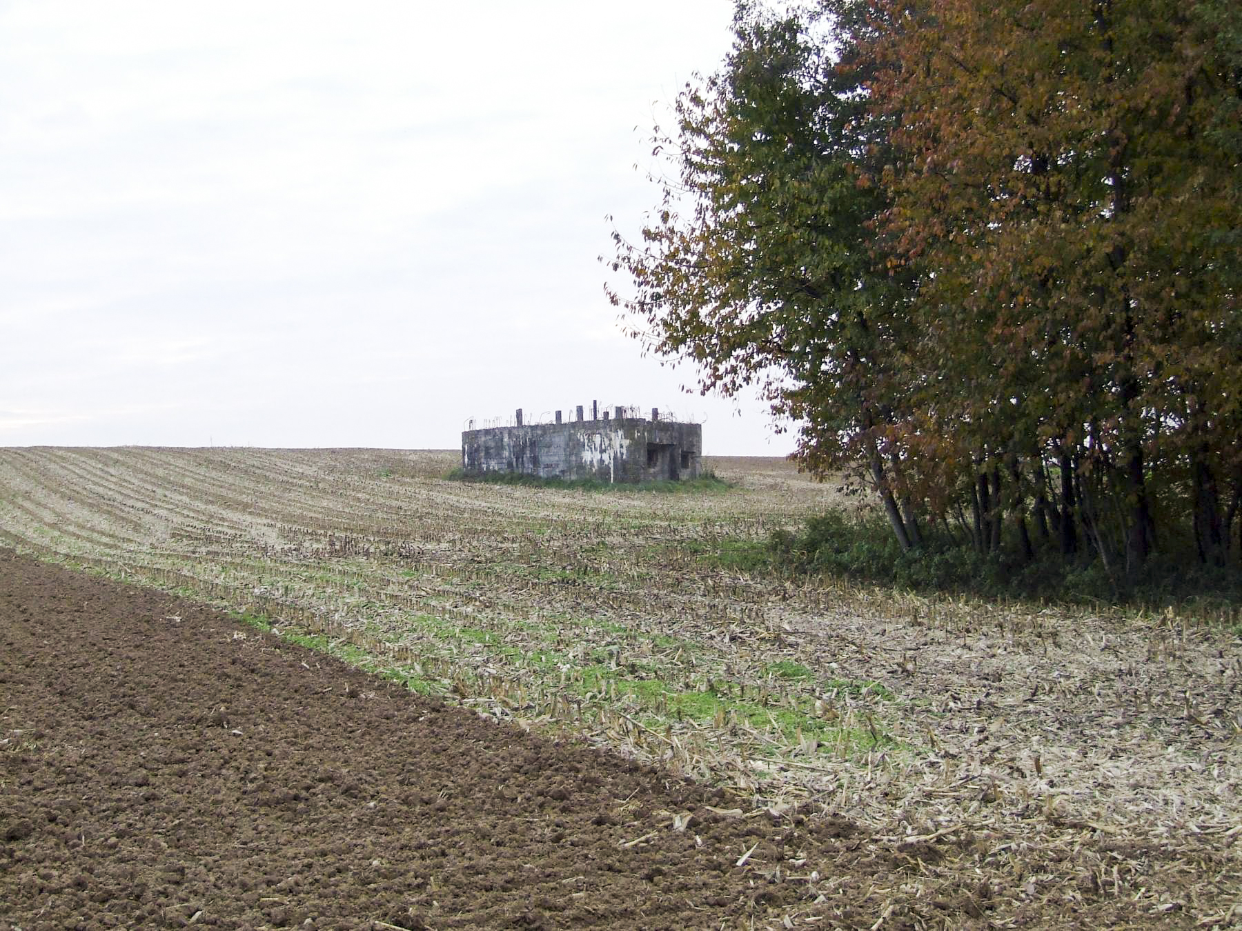 Ligne Maginot - WASSERFURSCH - (Casemate d'infanterie) -  - STENGER Mathieu