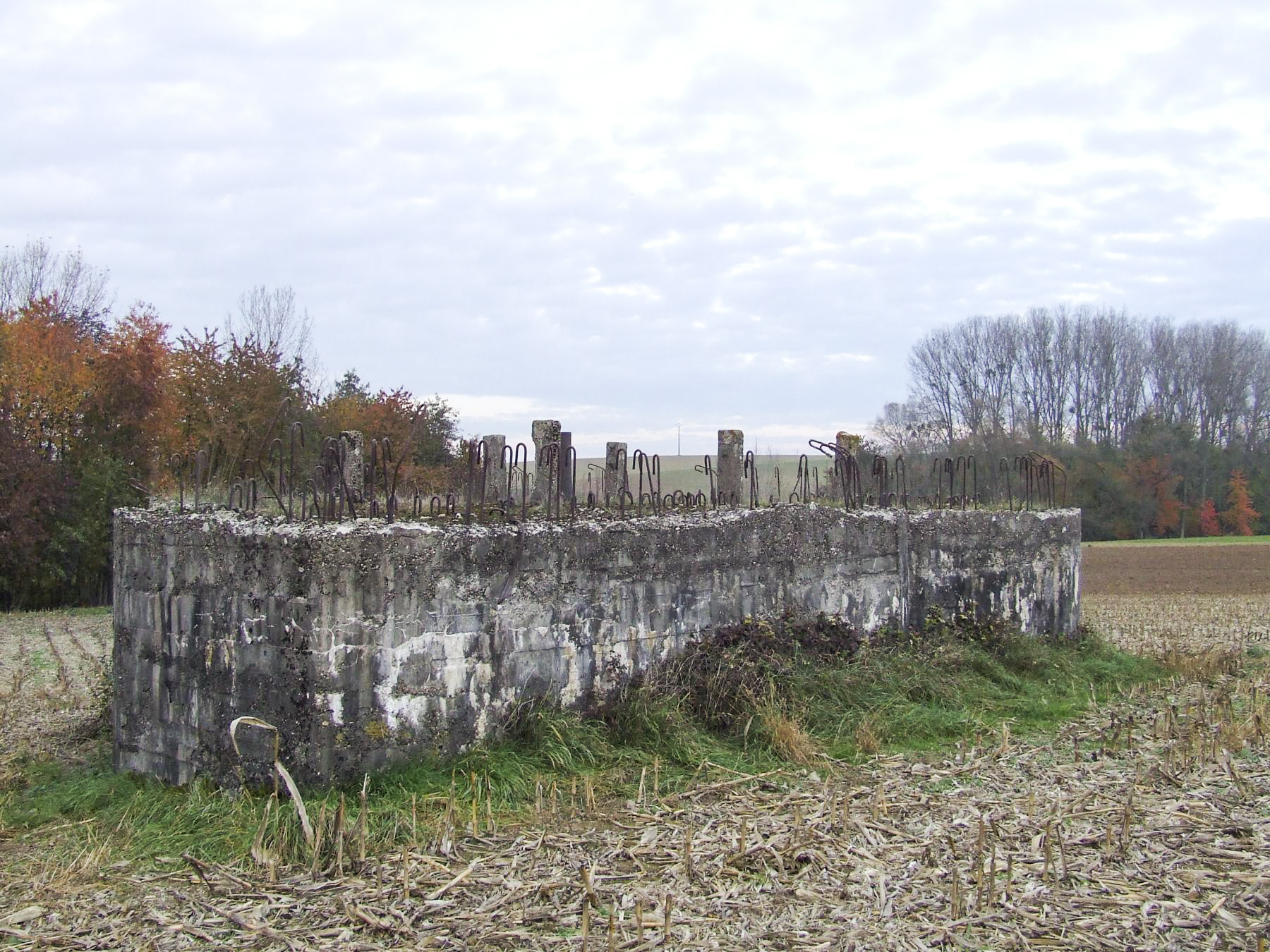 Ligne Maginot - WASSERFURSCH - (Casemate d'infanterie) -  - STENGER Mathieu