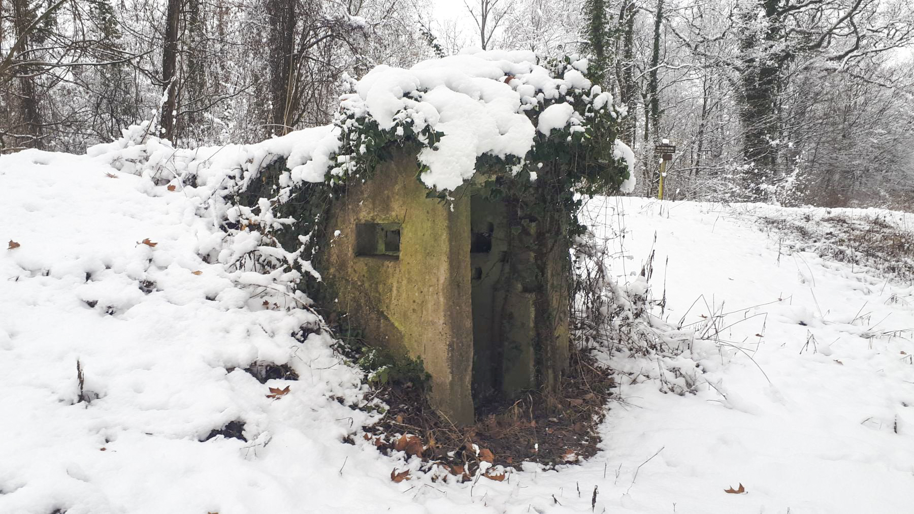 Ligne Maginot - HAUTE DIGUE 10 - (Blockhaus pour arme infanterie) - L'entrée, de l'autre coté de la digue - Les Gardiens du Rhin