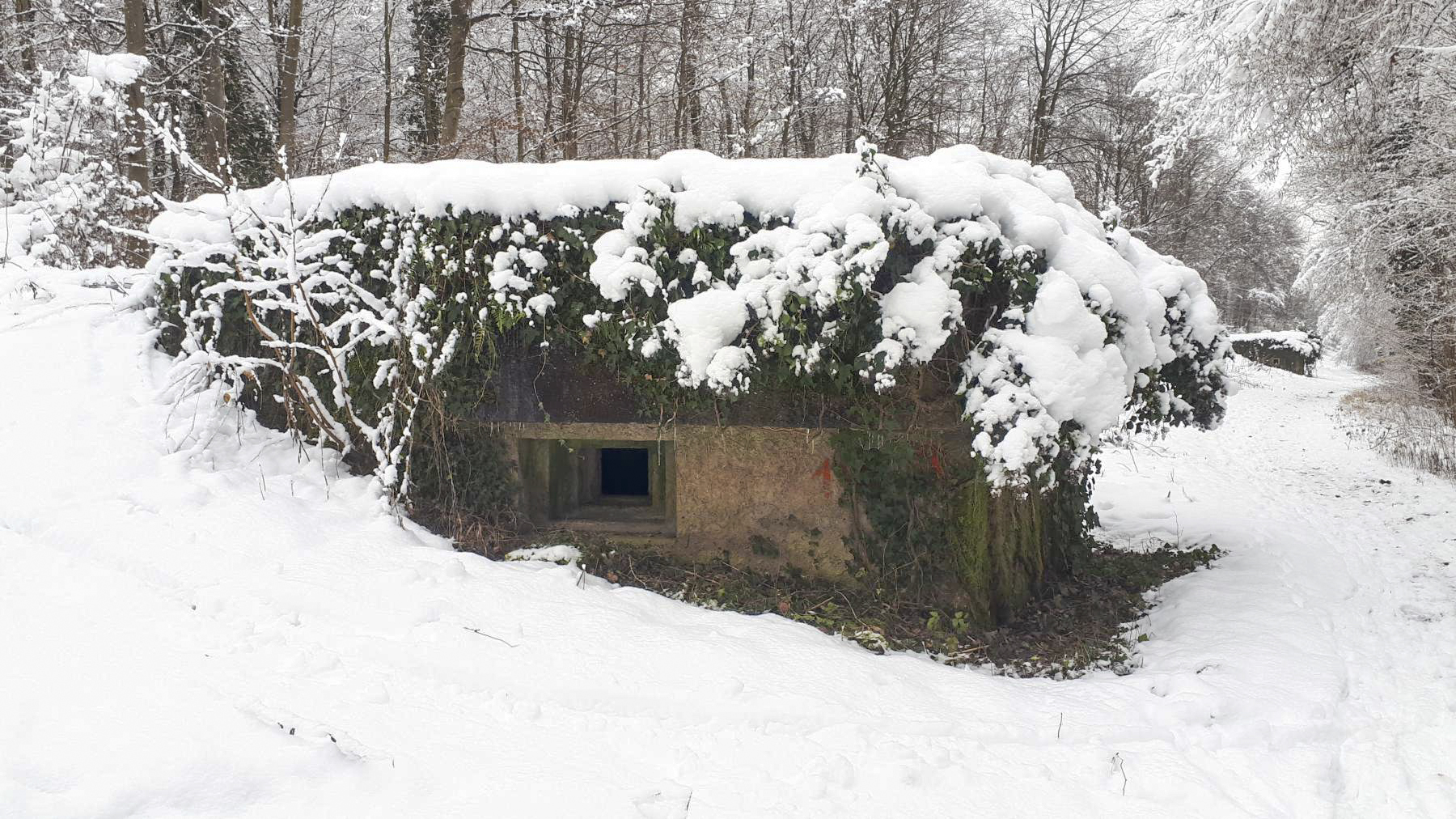 Ligne Maginot - HAUTE DIGUE 8 - (Blockhaus pour arme infanterie) - Créneau mitrailleuse nord - Les Gardiens du Rhin