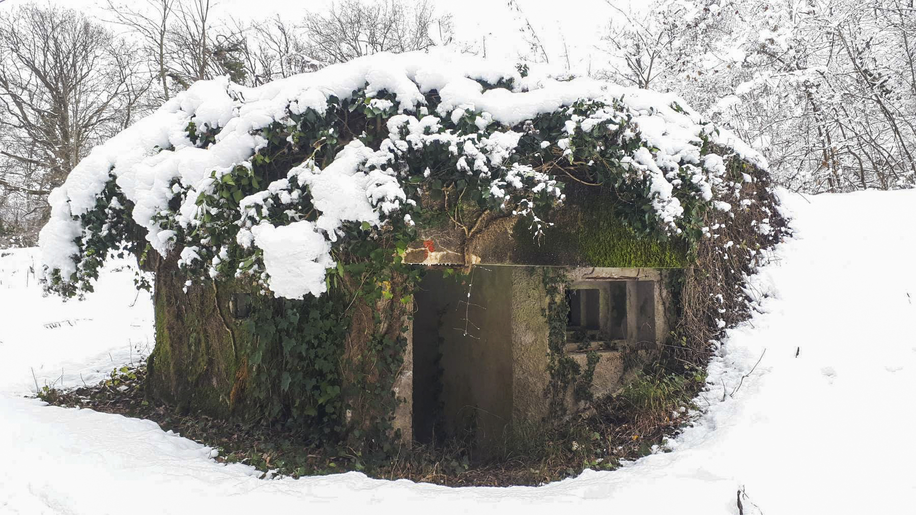 Ligne Maginot - HAUTE DIGUE 8 - (Blockhaus pour arme infanterie) - Entrée et créneau mitrailleuse sud - Les Gardiens du Rhin