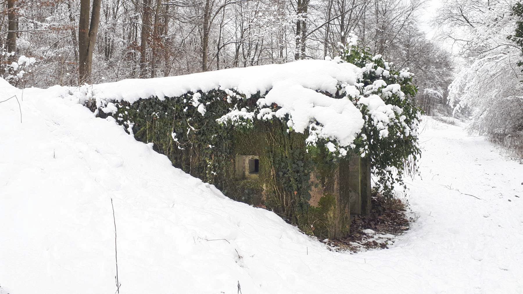 Ligne Maginot - HAUTE DIGUE 7 - (Blockhaus pour arme infanterie) - L'entrée de l'autre coté de la digue - Les Gardiens du Rhin